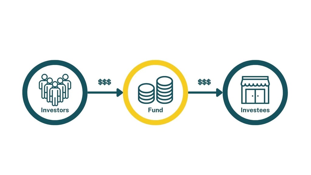 investors fund investees