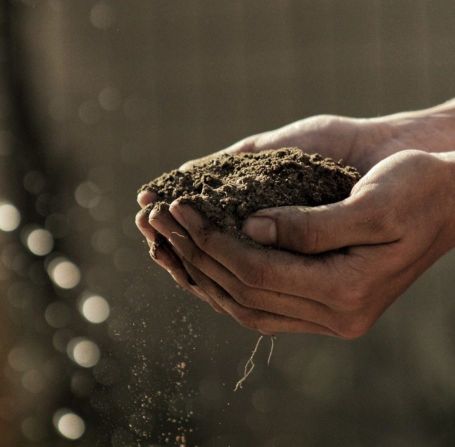 Hands holding soil; photo by Gabriel Jimenez on Pexels