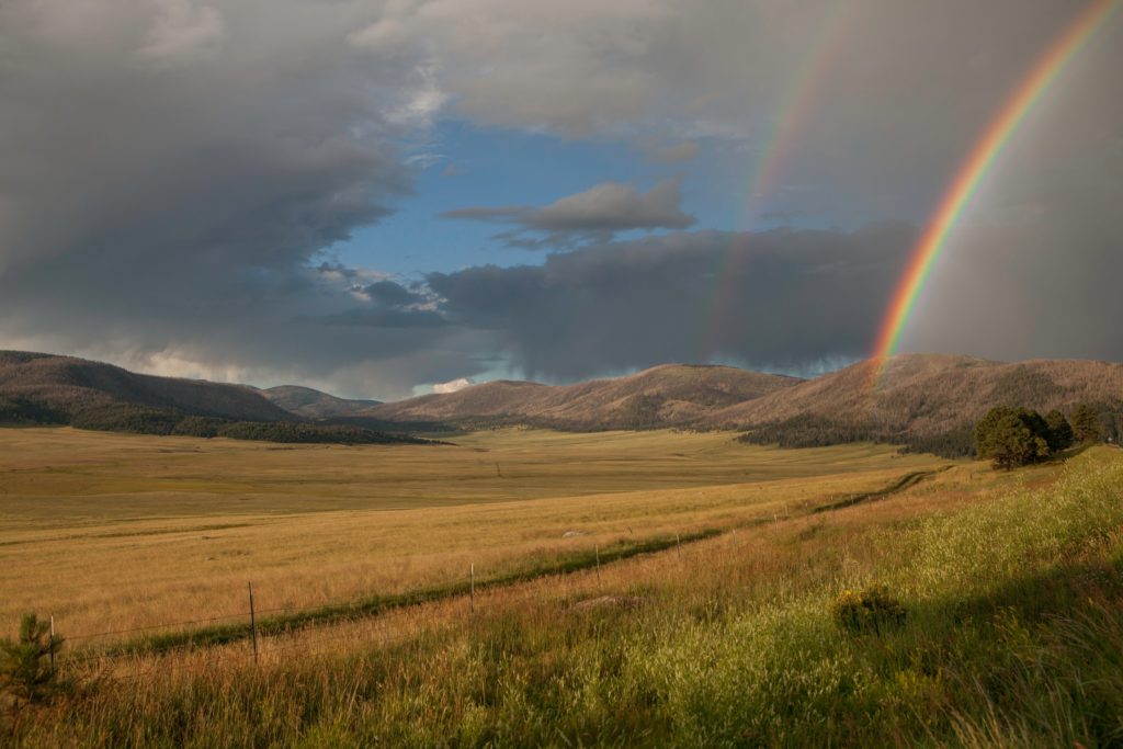 brown grass under rainbow during daytime