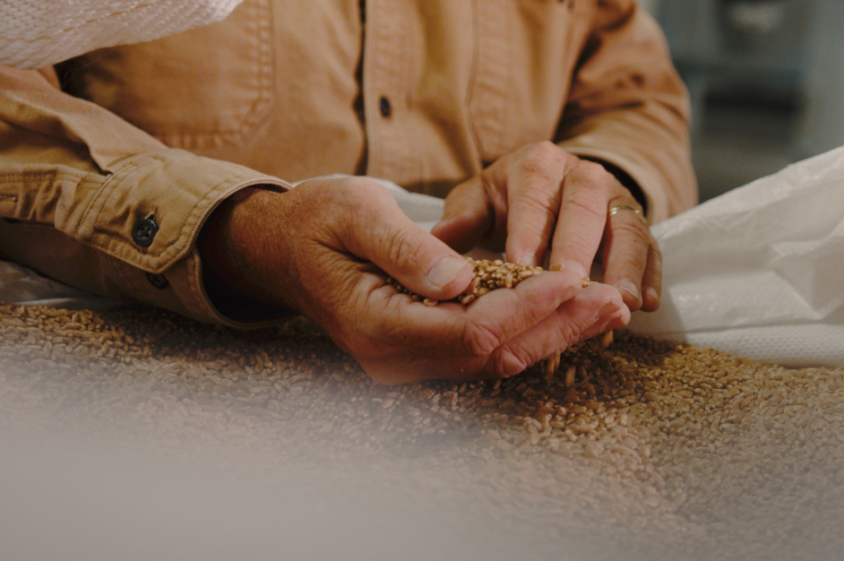 Cairnspring-Mills-grains Cairnspring Mills grains