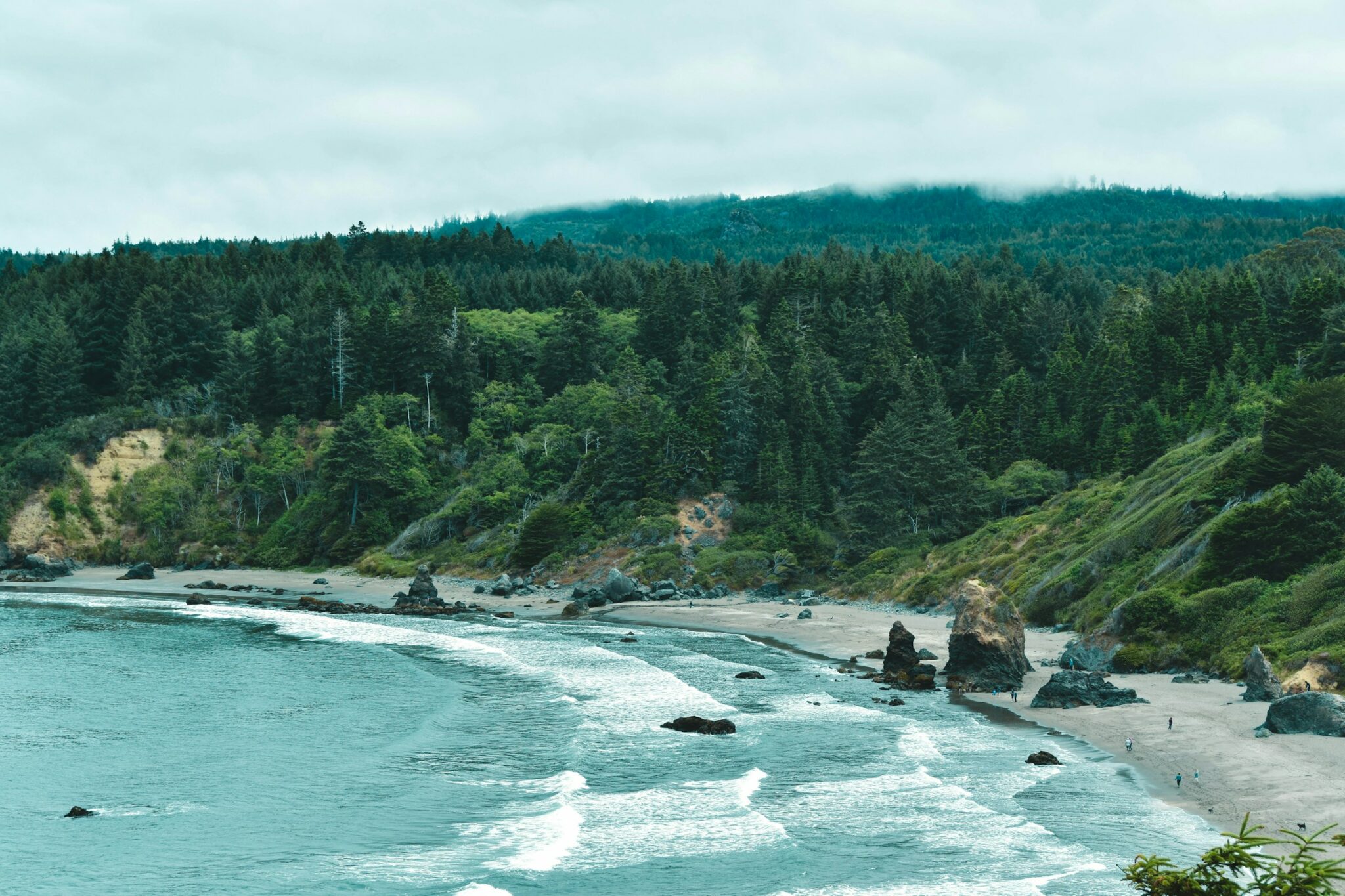 Photo of Trinidad State Beach by everett mcintire on Unsplash