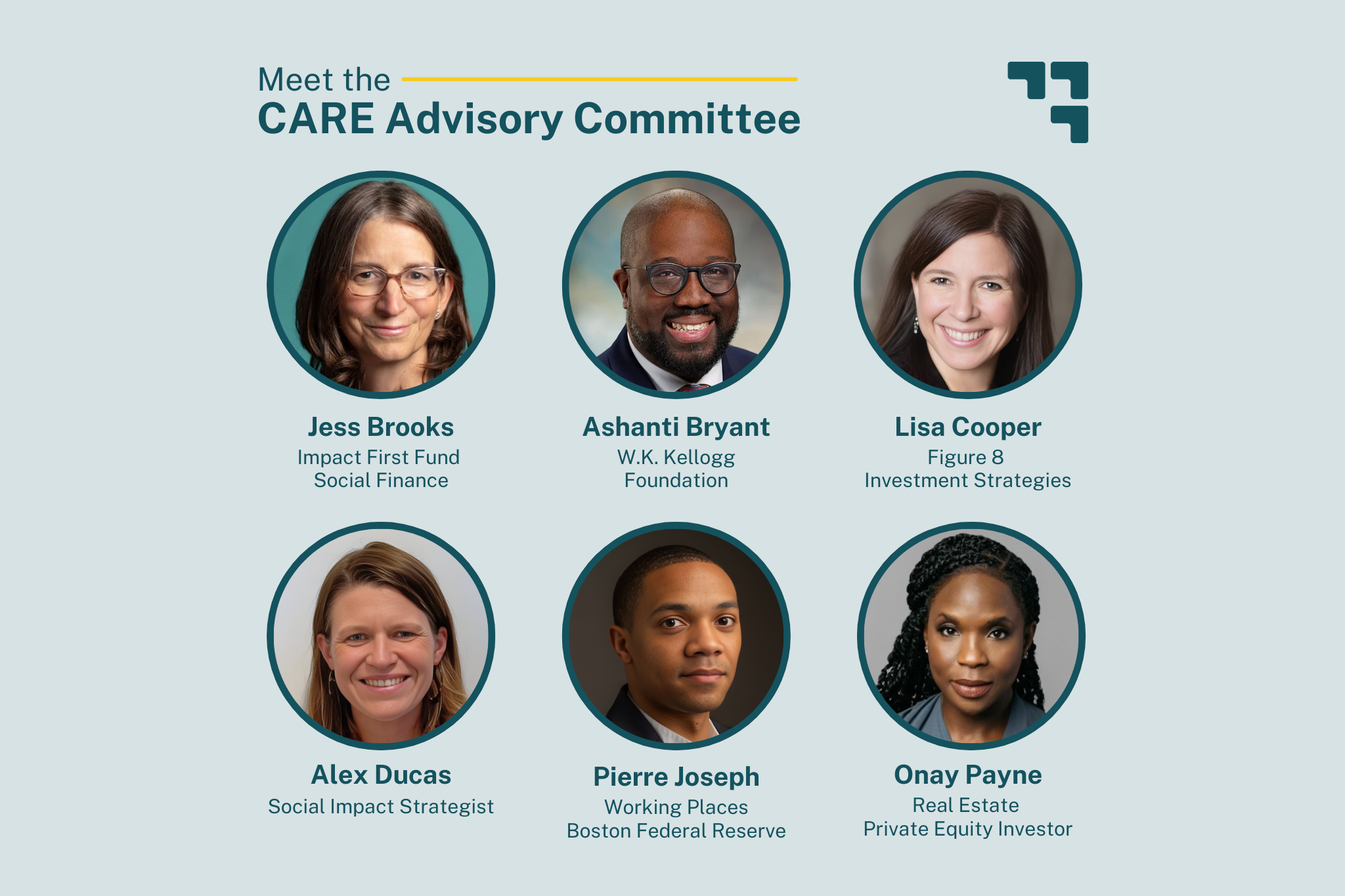 Text graphic that says, "Meet the CARE advisory committee"