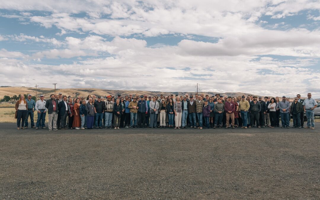 Ancient trade routes, modern capital: How ‘capital weaving’ unlocked a regenerative mill project in Indian Country